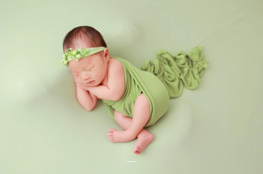 桐乡陕西助孕公司名单揭晓助孕行业新动向